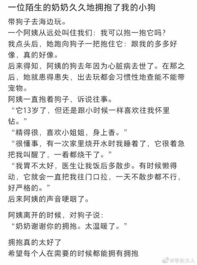不是小狗需要人类，是人类需要小狗！