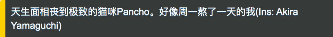 好喜欢丧脸小猫咪！是不是才下班回来